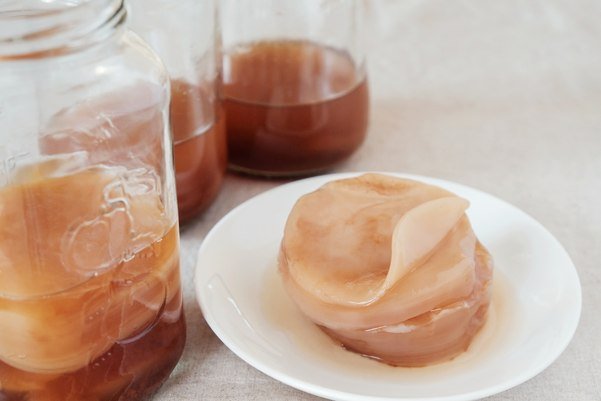 Da “fungo cinese” a kombucha: il viaggio segreto della bevanda fermentata degli Anni ’50